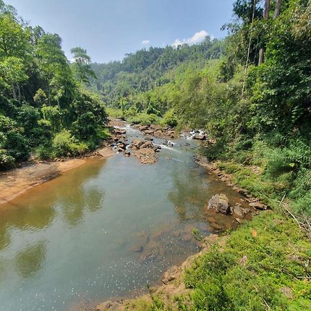 Rainforest River Bay デニヤヤ エクステリア 写真