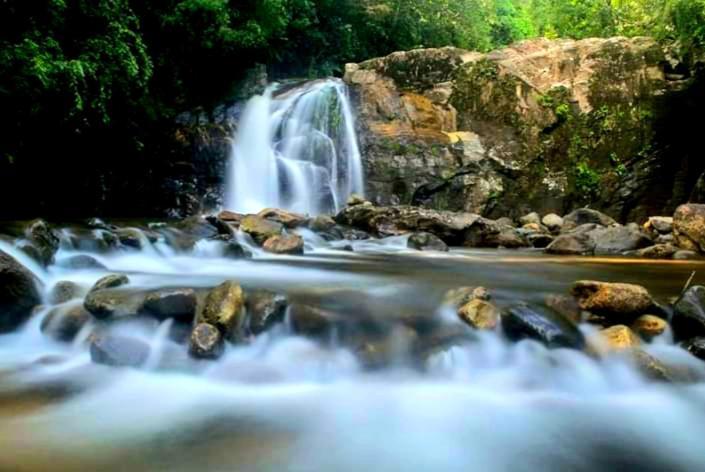 Rainforest River Bay デニヤヤ エクステリア 写真