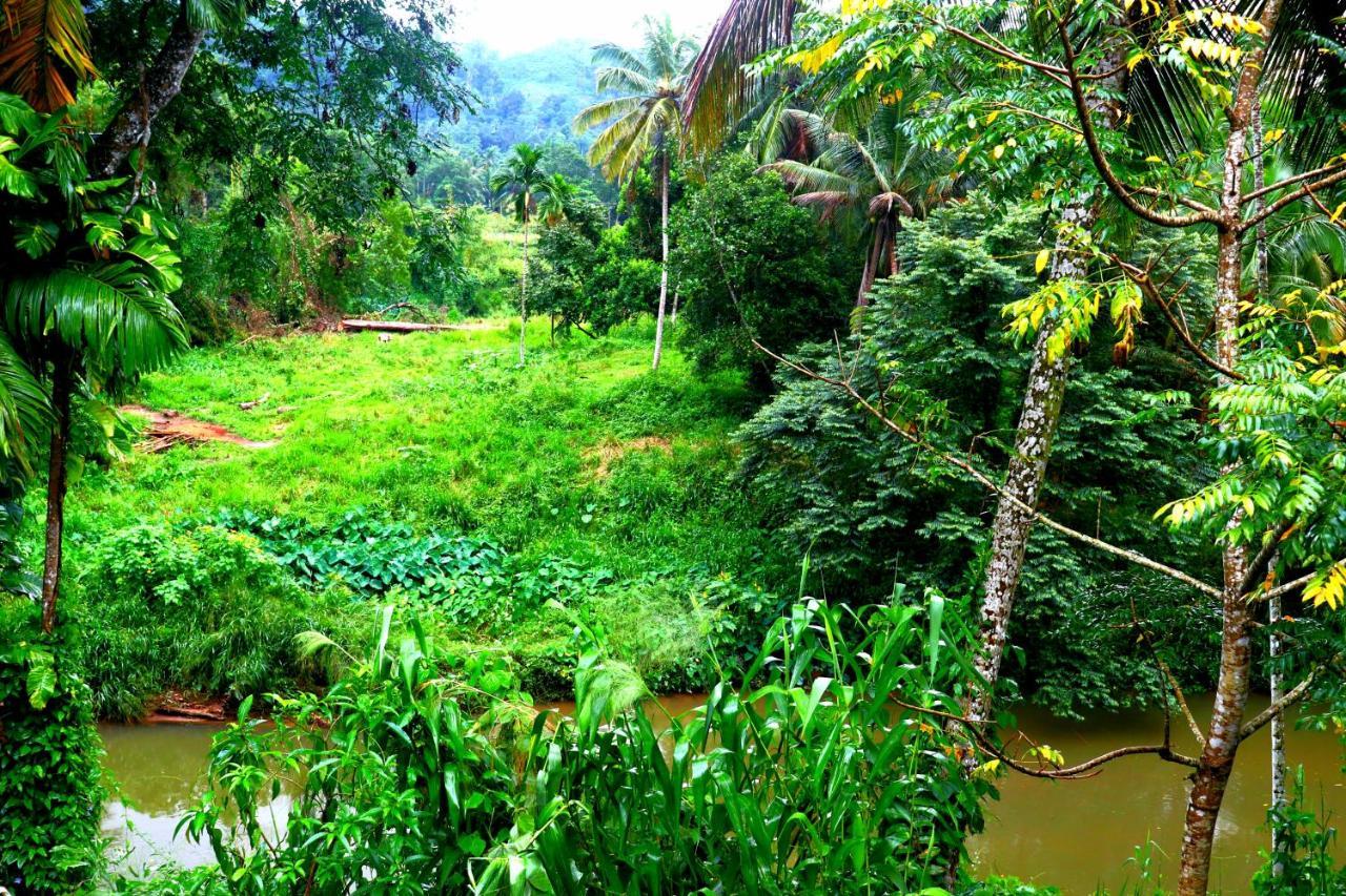 Rainforest River Bay デニヤヤ エクステリア 写真