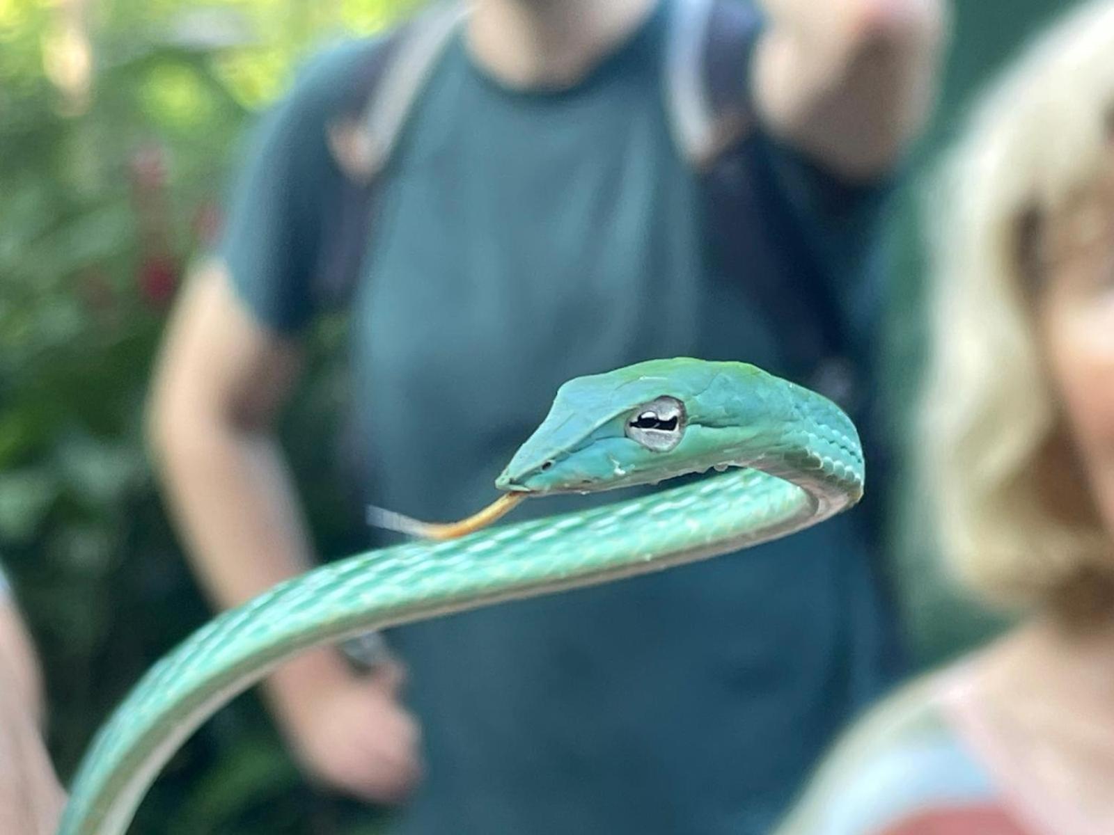 Rainforest River Bay デニヤヤ エクステリア 写真