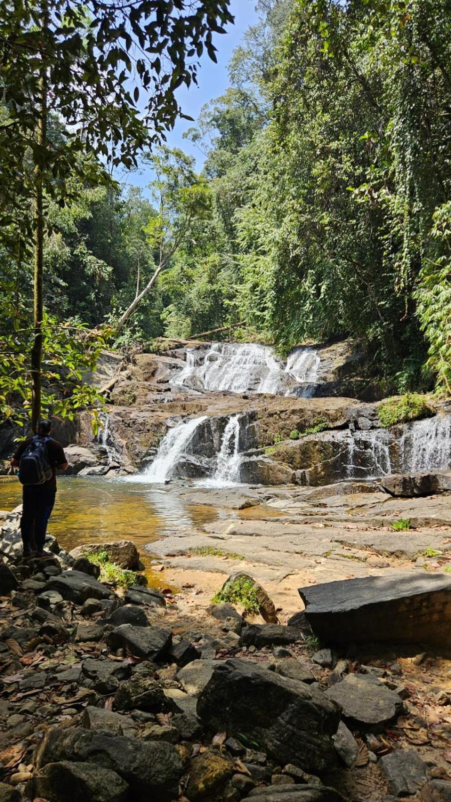 Rainforest River Bay デニヤヤ エクステリア 写真