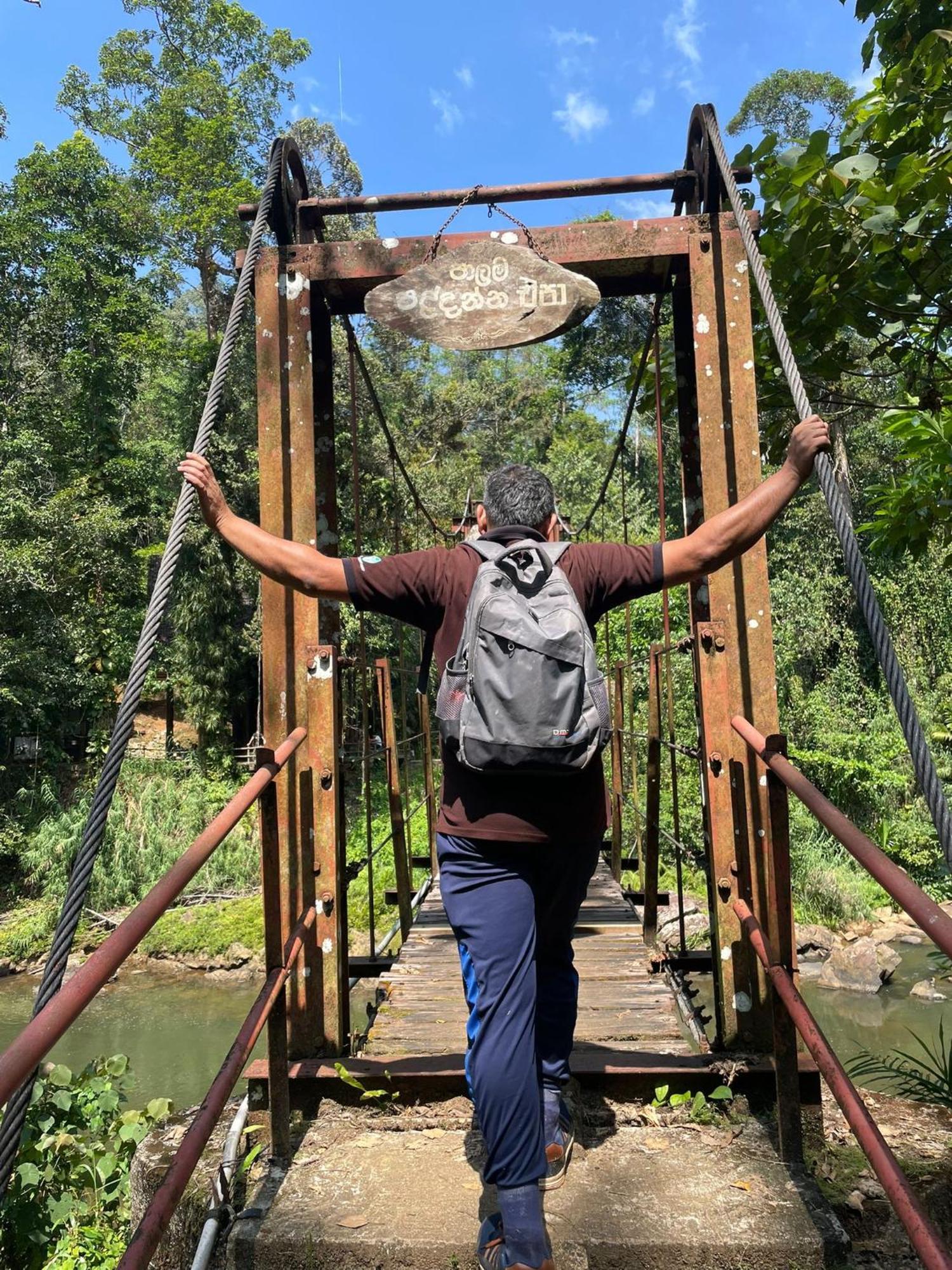 Rainforest River Bay デニヤヤ エクステリア 写真